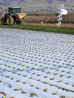 [きれいなお姉さんは好きです会 (久保堂てい)] 元同級生の農家の嫁たち 旦那が出稼ぎで村に男は僕一人？_113
