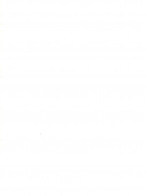 (C100) [秘密結社霧の湖戦線 (湖小)] 妖精強制変態ショー (東方Project) [士战工打个人汉化]_03