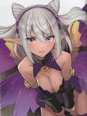 (C103) [T2 ART WORKS (Tony)] エルフマニア (Tony MAGAZINE 11)_36