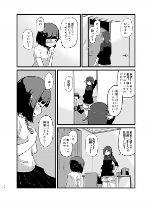 [脳内補完庫 (桐生)] 年に1回会う親戚の姉ちゃんと…_27