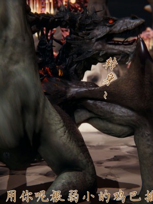 宠物捕捉大师26-31_0237