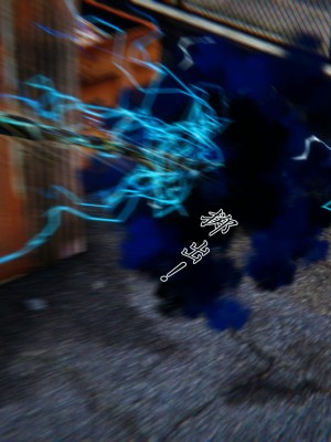 宠物捕捉大师26-31_0697