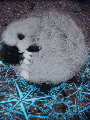 宠物捕捉大师26-31_0718