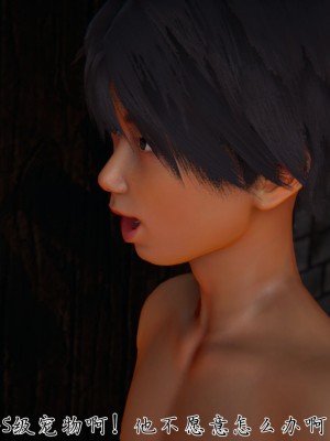 宠物捕捉大师26-31_0808