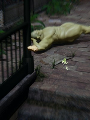 宠物捕捉大师26-31_0826