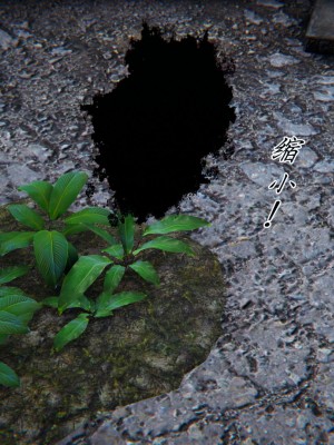 宠物捕捉大师26-31_1041