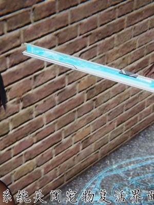 宠物捕捉大师26-31_1099