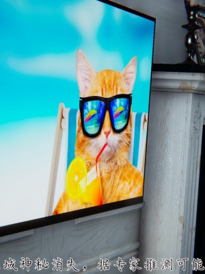 宠物捕捉大师26-31_1134