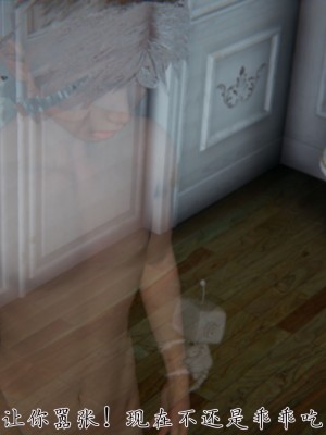 宠物捕捉大师26-31_1140