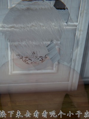 宠物捕捉大师26-31_1141