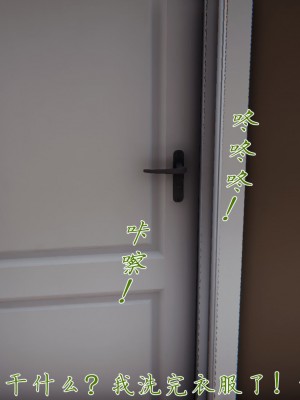 宠物捕捉大师26-31_1225