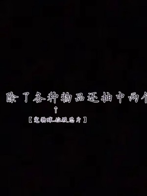 宠物捕捉大师26-31_1382