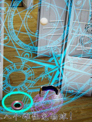 宠物捕捉大师26-31_1384