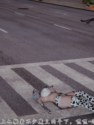 宠物捕捉大师26-31_1490