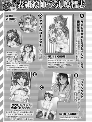 コミックマショウ 2024年3月号 [DL版]_260