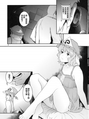(C80) [てれびさん (中枢回路)] 東方てれびさん (東方Project) [中国翻訳]_03