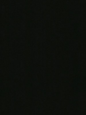 [アカエボシ (瓶人)] ねこ娘発情中 (ゲゲゲの鬼太郎) [DL版]_25