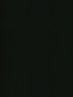 [アカエボシ (瓶人)] ねこ娘発情中 (ゲゲゲの鬼太郎) [DL版]_26