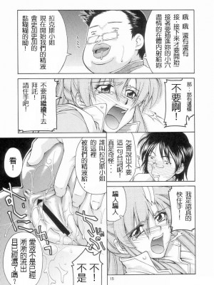 [HKG漫畫課] (C65) [GOLD RUSH (鈴木あどれす)] Emotion (裏) (機動戦士ガンダムSEED)_014