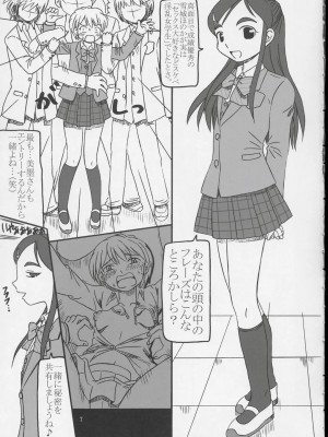 (Cレヴォ35) [サルヴェージ工房 (鳳凰たん)] ありえない程百合キュア (ふたりはプリキュア)_06