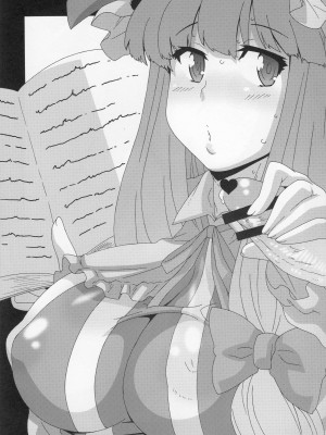 (紅楼夢6) [悪性真性物 (糊)] 大回転小町 (東方Project)_14