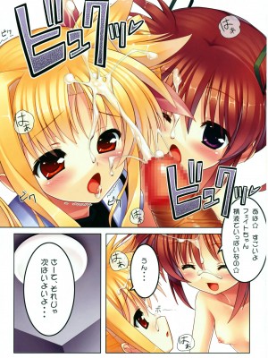 (C75) [スタジオ☆ひまわり (日向恭介)] 魔法少女なのはEX (魔法少女リリカルなのは)_10