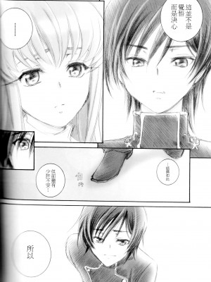 [soulrr 個人漢化] (C75) [やまぐち楼 (やまぐちしんじ)] ACCOMPLICE (コードギアス)_11