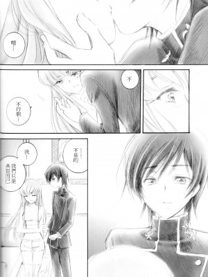 [soulrr 個人漢化] (C75) [やまぐち楼 (やまぐちしんじ)] ACCOMPLICE (コードギアス)_13