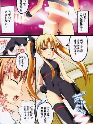 (C75) [SAZ (己即是空)] ものくろ・くろす (魔法少女リリカルなのは)_07