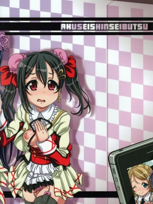 (C86) [悪性真性物 (糊)] HONEY TUNES (ラブライブ!)_26