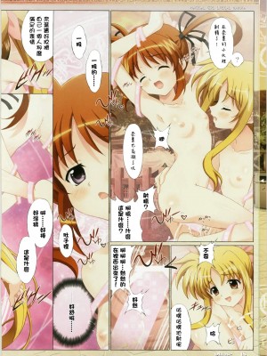 [final個人漢化] (C79) [ひよたま御殿 (長瀬ゆたか)] 魔法少女無双 (魔法少女リリカルなのは)_018f