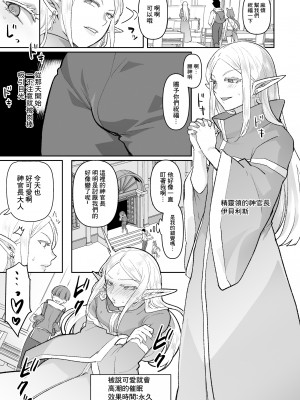 [オルガムスラップ (いちのみるく)] 悪いエルフ♂を魔法でシーメールにして改心させる話 [中国翻译]_14