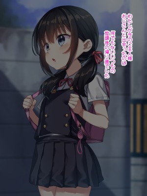 [リリックボックス (れーさー)] わたしがおじさんのペットになった日～オナホペットの躾け日記～_002