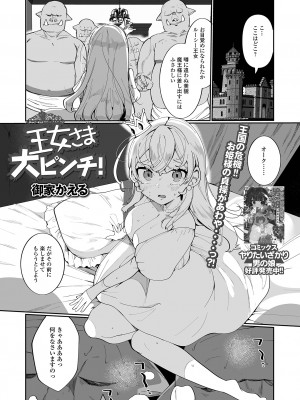 [アンソロジー] 異世界娘との交接 異世界娘シリーズ1 [DL版]_19