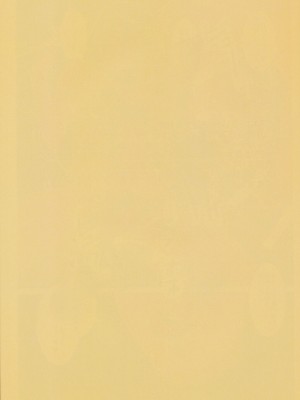 [トリニティ教団 (雪咲ミアレ、サノレアヌ)] りゅうじょうこれくしょん (艦隊これくしょん -艦これ-) [DL版]_32