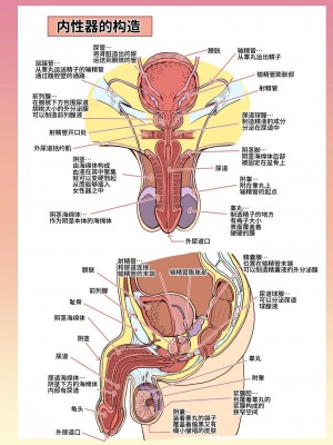 [人生横滑り。 (荒岸来歩)] メイドさんと学ぶおんなのこのからだ [中文] [这样很好=汉化组合]_025