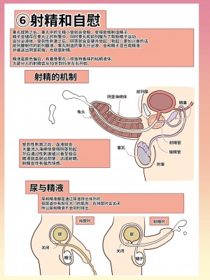 [人生横滑り。 (荒岸来歩)] メイドさんと学ぶおんなのこのからだ [中文] [这样很好=汉化组合]_026