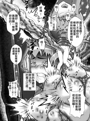 [へなまみや] ミレニアムアイドルズ魔法とイカ [中文]_16