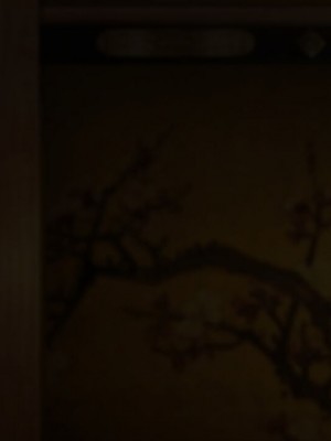 [むらパラ!] 魔眼催眠～シノビ孕マセ計画～ [中国翻訳]_330