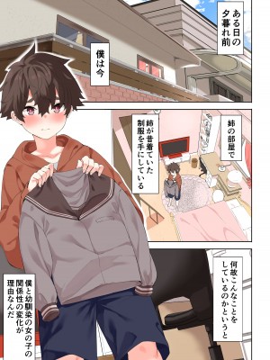 [Garimpeiro (まめでんきゅう)] お姉さんと女装男子 [DL版]_14