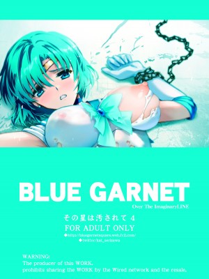 [ブルーガーネット (芹沢克己)] その星は汚されて4 (美少女戦士セーラームーン) [DL版]_20