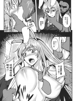 (例大祭9) [アビオン村 (ジョニー)] 嗜虐幻想郷～鈴仙・優曇華院・イナバ～ (東方Project) [中国翻訳]_06