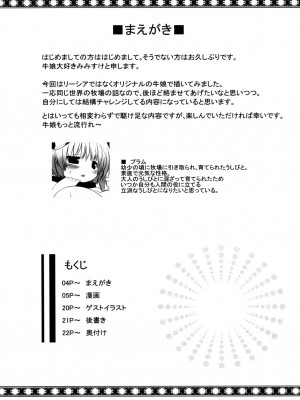 (C81) [mim'im (みみすけ)] Prime study [中国翻訳]_03