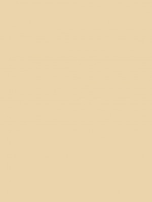 (COMIC1☆4) [てろめあな (ぐすたふ)] かの×かの (東方Project) [中国翻訳]_23