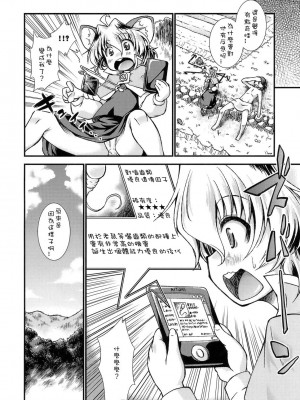 [Sewlde.K.Charat汉化] (C78) [異郷 (山崎かな)] ザ ピラミッド スキーム ナズーリン (東方Project)_17