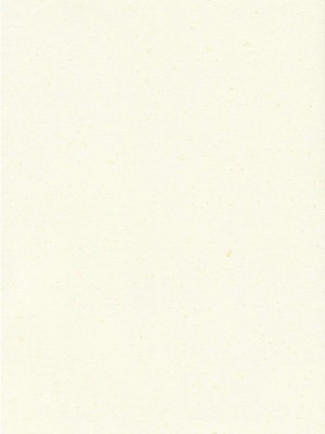 [漢化⑨課 東方九町] (C79) [MATILDA, 赤色バニラ (くま, matilda)] 霧雨ロマンポルノ | 霧雨浪漫春圖 (東方Project)_02