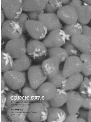 [东方小吃店] (例大祭5) [54burger (まるごし)] COSMIC DARE (東方Project)_30