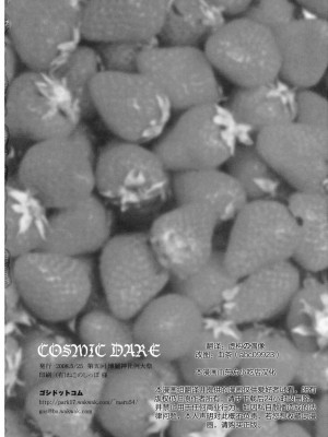 [东方小吃店] (例大祭5) [54burger (まるごし)] COSMIC DARE (東方Project)_32