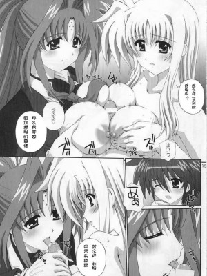 [次元汉化组] (C77) [鴨川屋 (鴨川たぬき)] Nineteens? (魔法少女リリカルなのは)_014