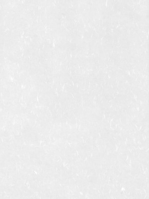 [萌の羽翼汉化组] (C76) [風道屋 (まもウィリアムズ)] Flash Back (東方Project)_02